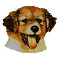 Elegant Woven Texture Emblem